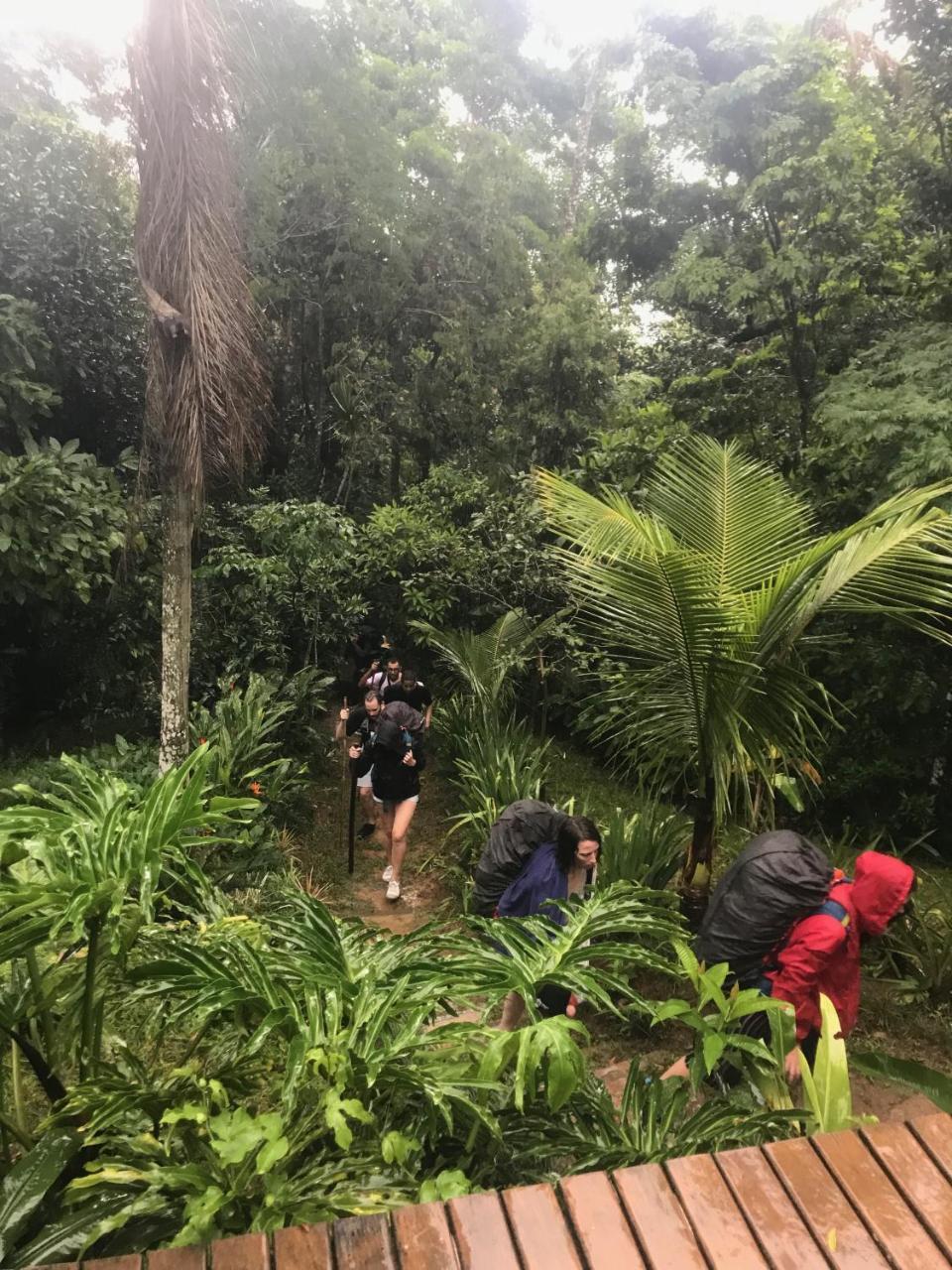 Pousada Rainforest House - Ilha Grande ภายนอก รูปภาพ