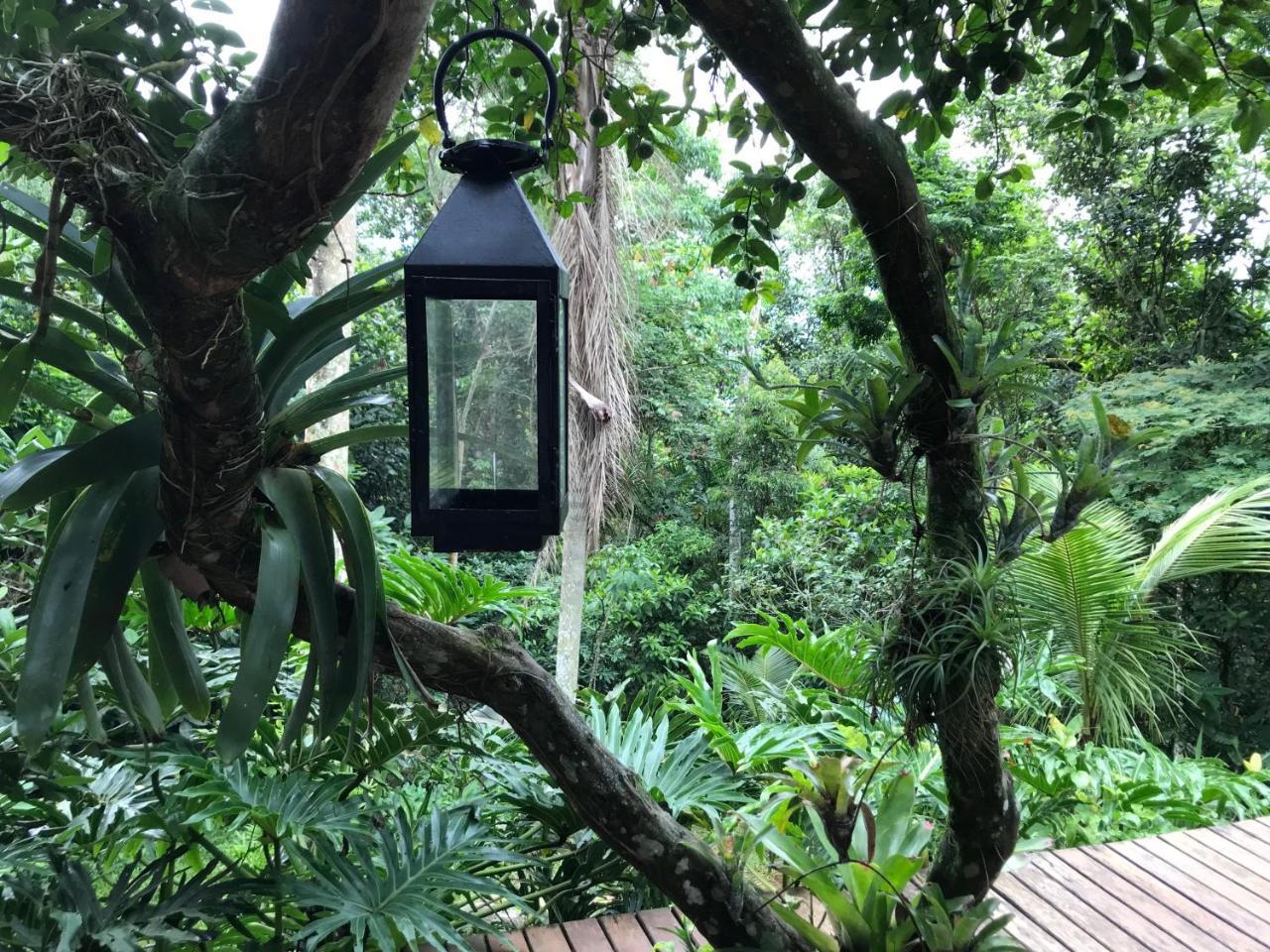 Pousada Rainforest House - Ilha Grande ภายนอก รูปภาพ