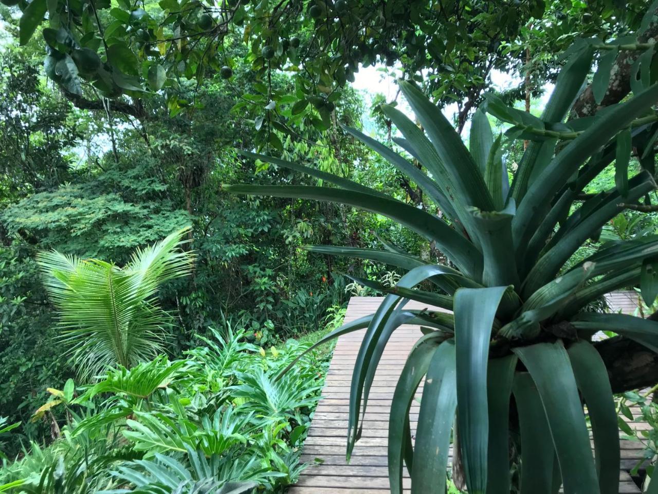 Pousada Rainforest House - Ilha Grande ภายนอก รูปภาพ