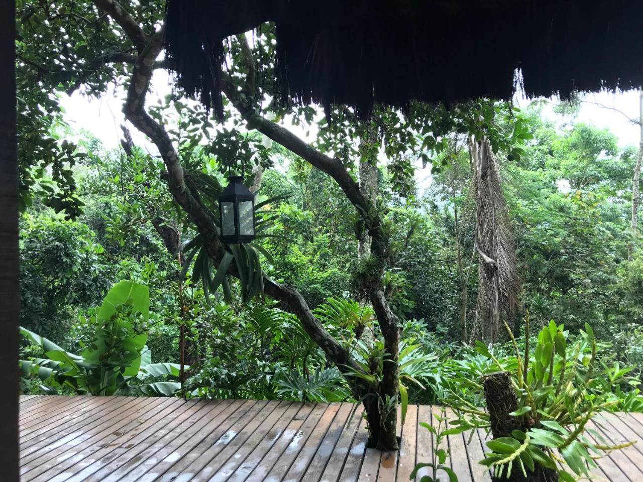 Pousada Rainforest House - Ilha Grande ภายนอก รูปภาพ